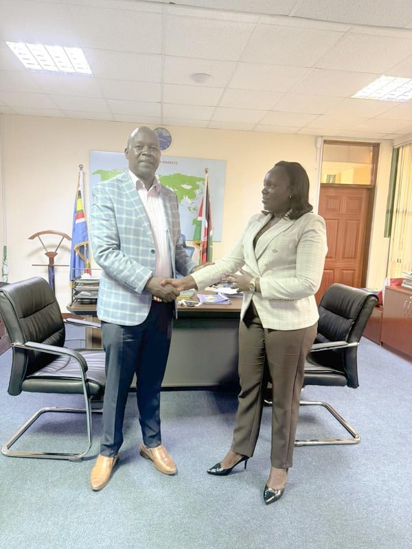 DORSA ENTERPRISES team